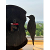 Часы настенные "Птица"